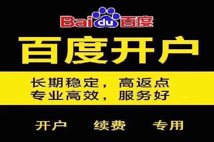 百度竞价广告投放策略及成功盈利案例